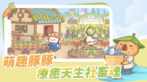 慢豚豚的生活官方正版