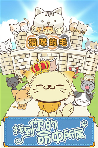 猫咪的毛最新版