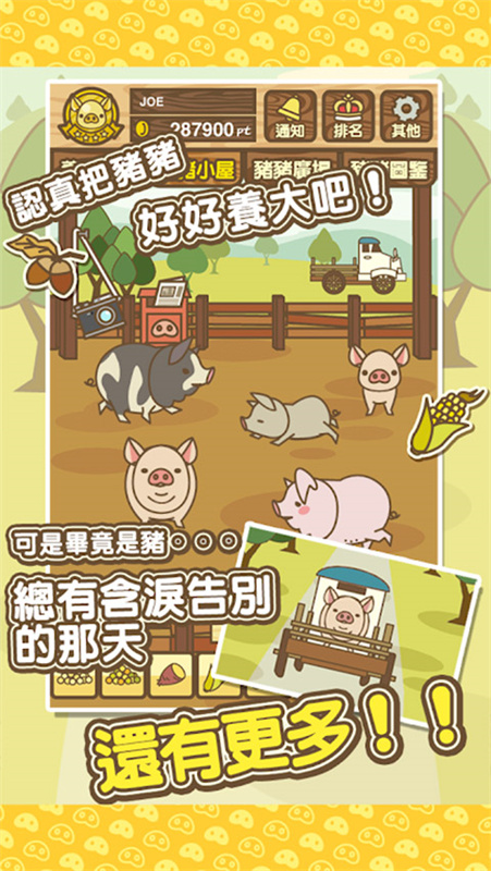 养猪场mix最新版本