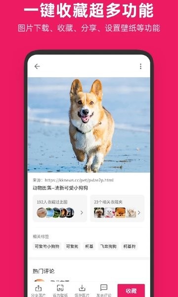 图片搜搜2025官方版