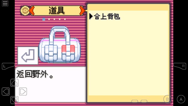 口袋妖怪究极绿宝石9.0