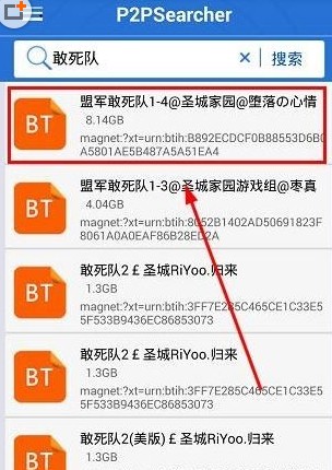 p2p种子搜索器手机版
