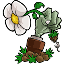 植物大战僵尸lz最新版