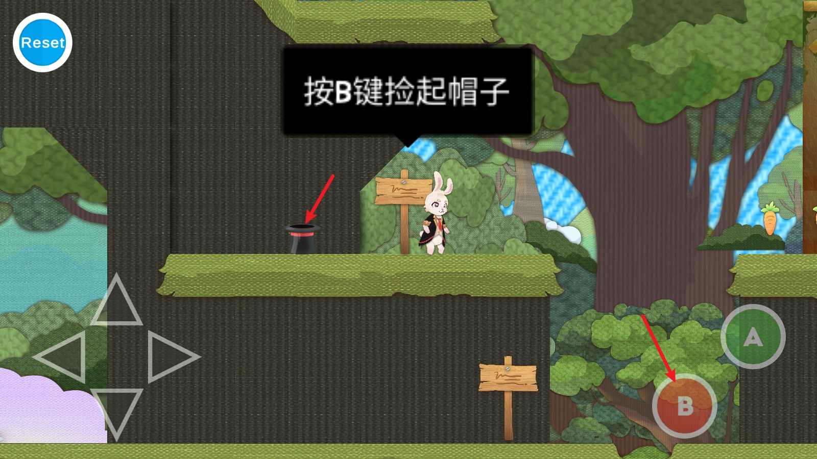 追寻星辰的可爱兔子