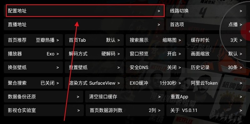2024影视仓最新配置接口地址查询3