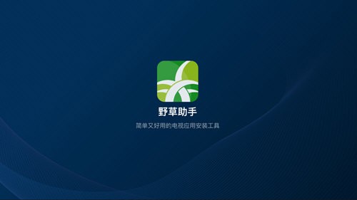 野草助手tv版口令大全最新版本