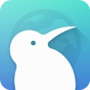 kiwi浏览器手机版下载