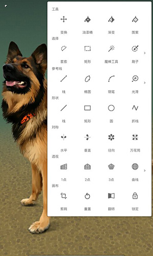 painter7.0.41版本