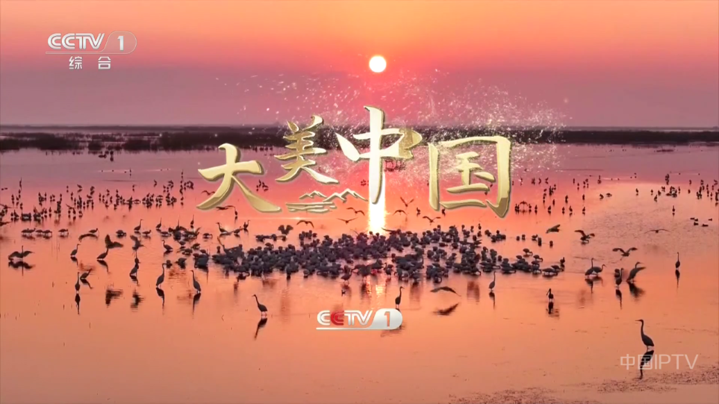 晨瑞电视tv版