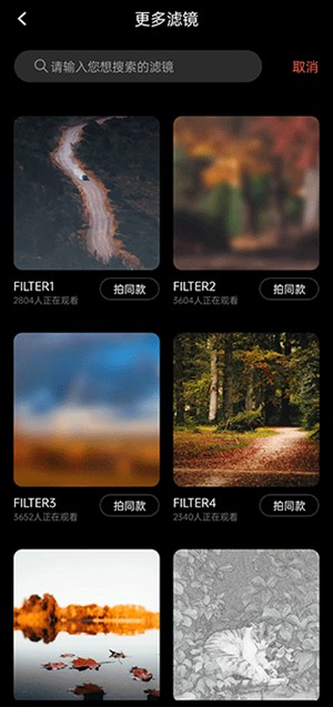 Dazz相机调节滤镜步骤2