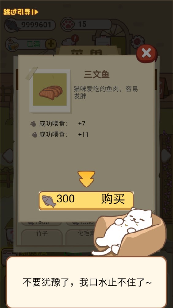 小猫铲屎官