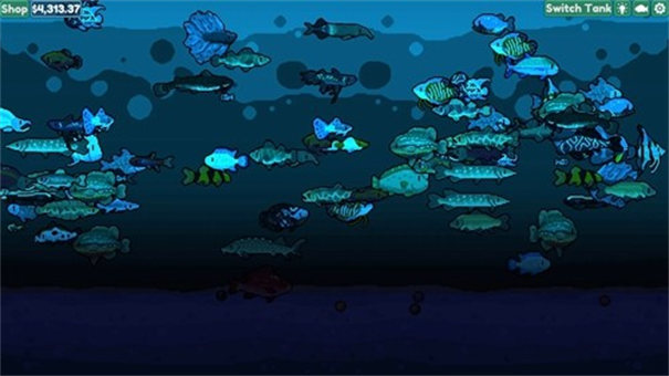 轻松水族馆2025最新版
