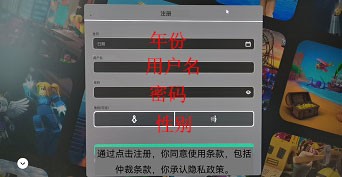 罗布乐思注册账号步骤2