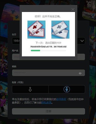 罗布乐思注册账号步骤5
