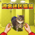 猫咪一起挤下载