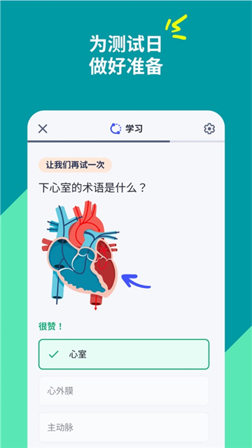 quizlet中文版