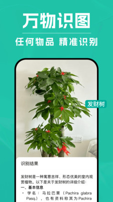DeepAI扫描王