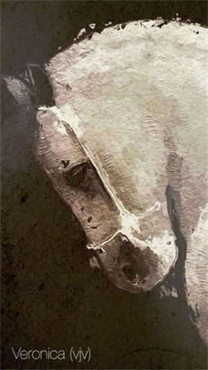 Glaze油画滤镜2025