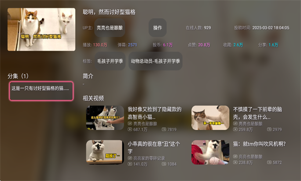 老比利bilibili电视版