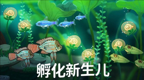 池趣官方版