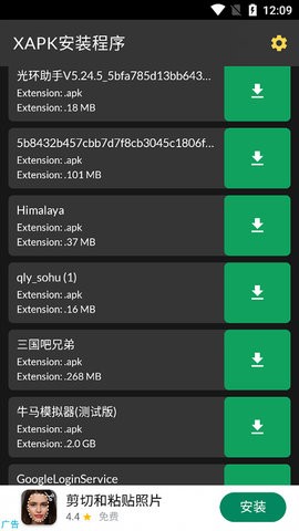 安大师xapk