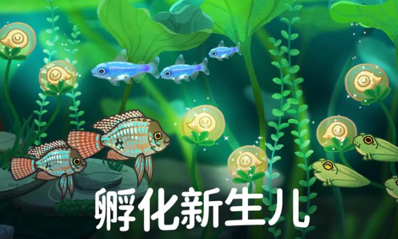 池趣正版