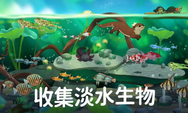 池趣正版