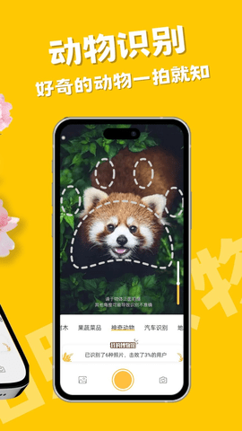 搏牛拍照识物