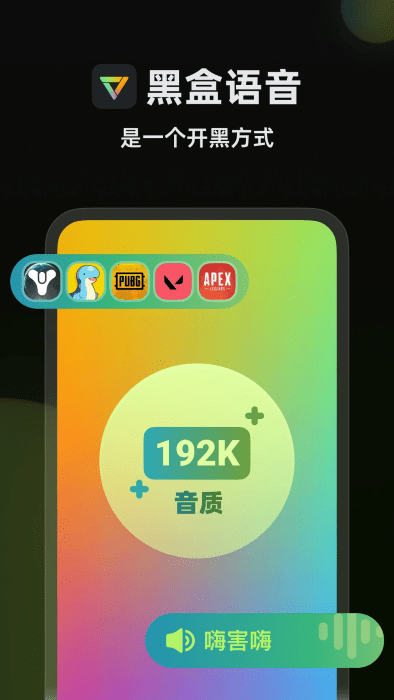 黑盒语音2025最新版