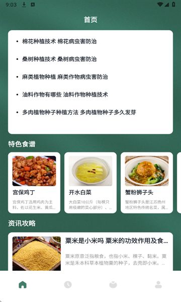 慢吞吞轻断食