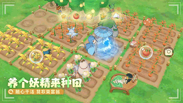 织梦森林官方版