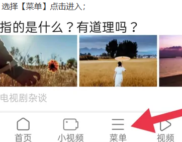 天马浏览器极速版
