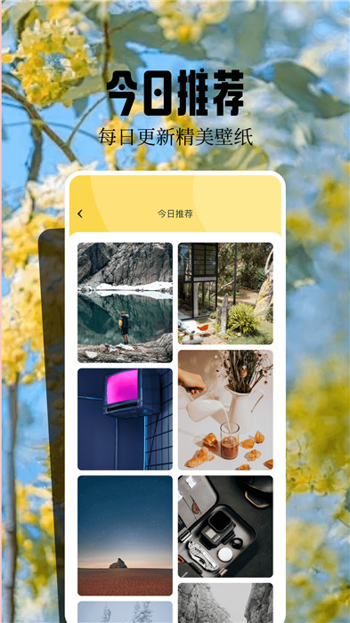 魔秀壁纸2.2.0