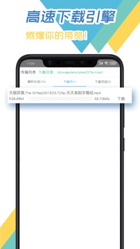飞鸟下载器2024