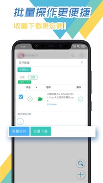 飞鸟下载器2024