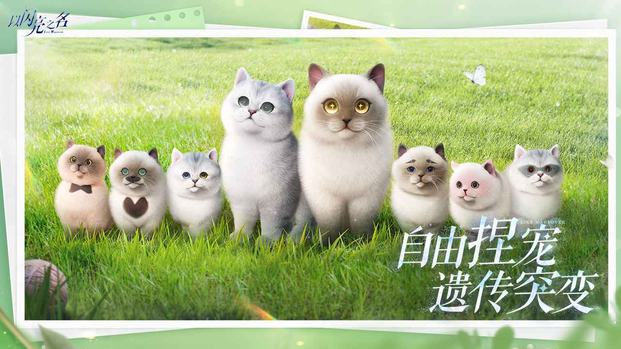 以闪亮之名2025版