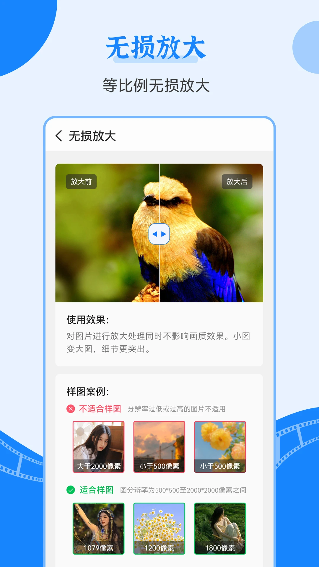 老照片修复王官方正版