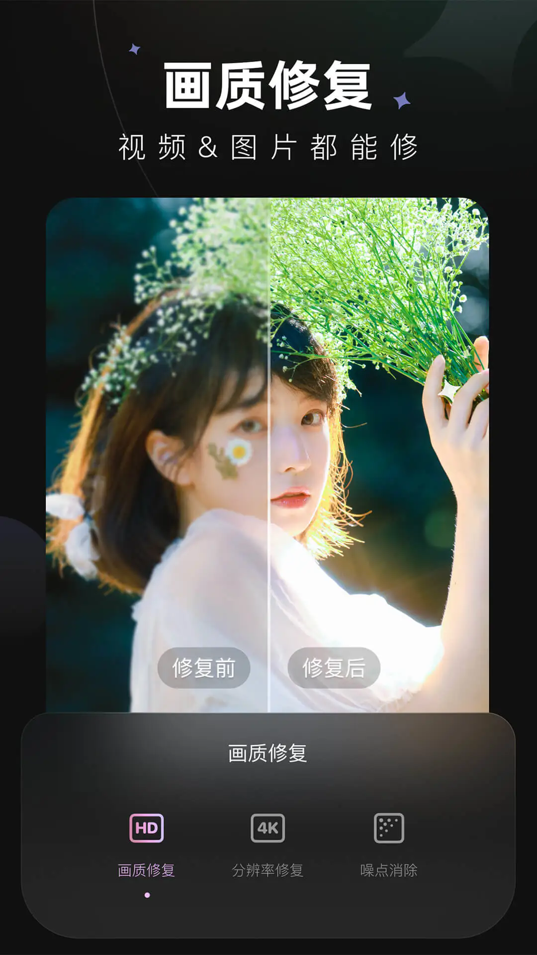 Wink2025高级版