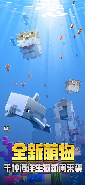 我的世界海洋版1.13