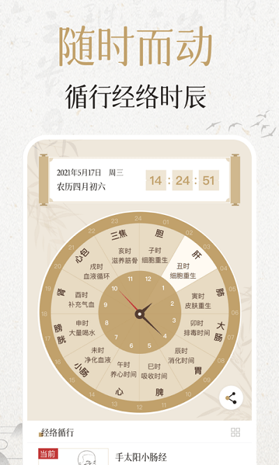 中济经络穴位2025