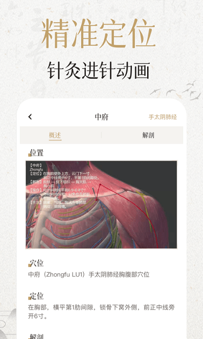 中济经络穴位2025