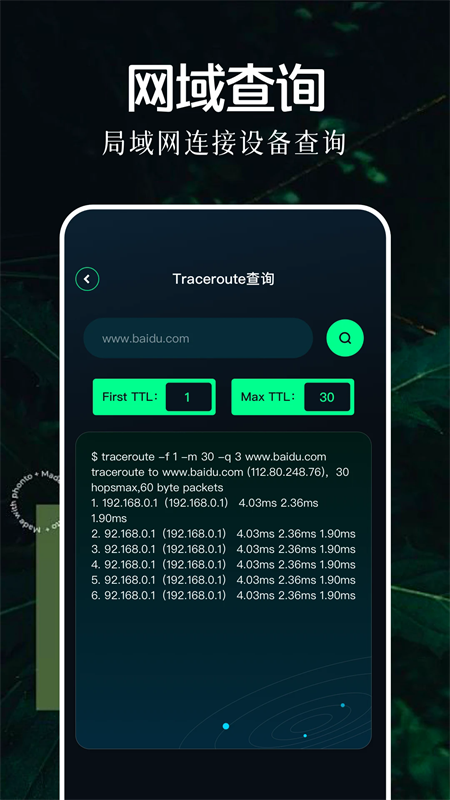 北辞弱网2025最新版