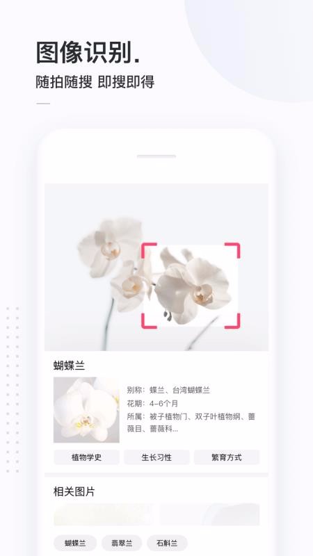 简单搜索旧版