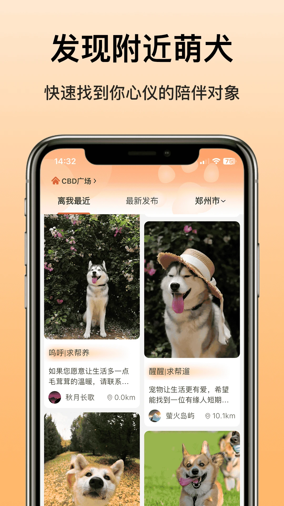 爱犬最新版