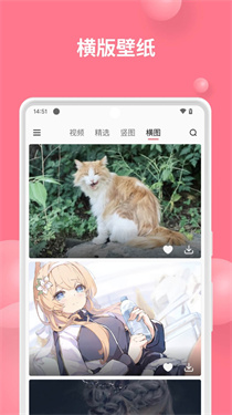 汽水壁纸1.3.9