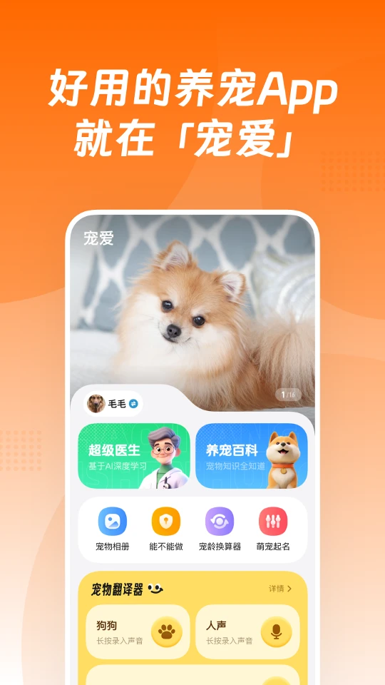 宠爱安卓版