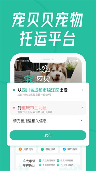 宠贝贝宠物托运2024最新版