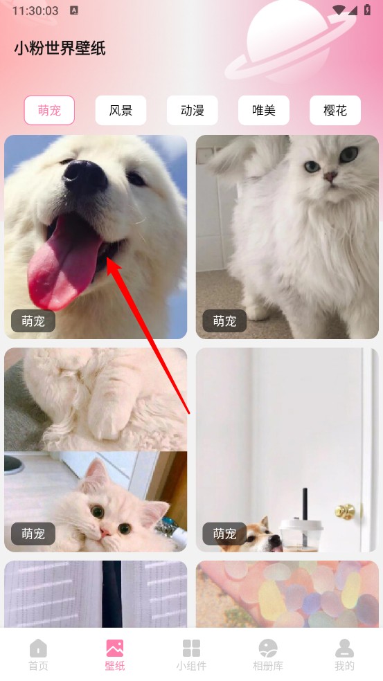 小粉世界壁纸