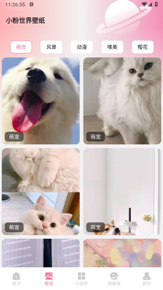 小粉世界壁纸