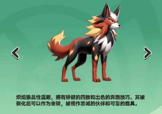 全紫队阵容